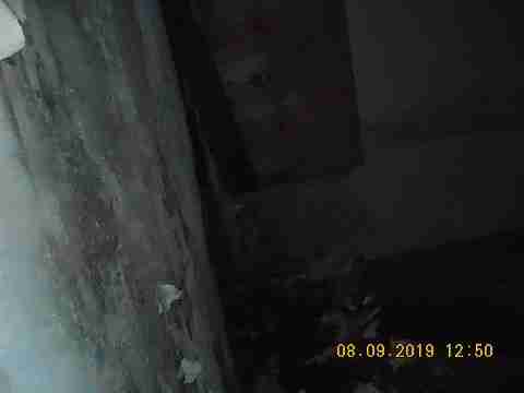 14592 Greenlawn (25)_m.jpg